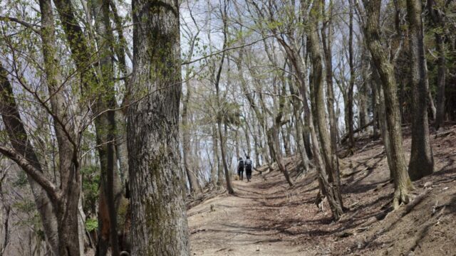 #4. 見上げる春空の色｜能勢妙見山にて