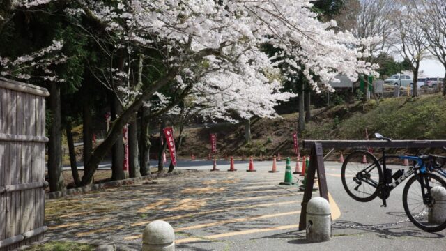 #6. 満開のソメイヨシノとバイク乗りたち｜能勢妙見山にて