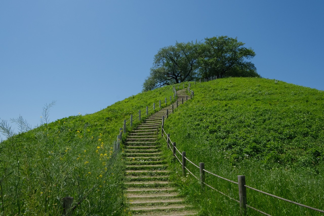 古墳に登る_埼玉古墳群にて_2405埼玉