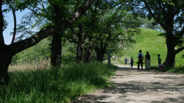 #13. 古墳のてっぺんで｜行田市・埼玉古墳群